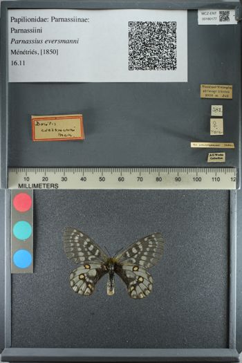 Media type: image;   Entomology 180177